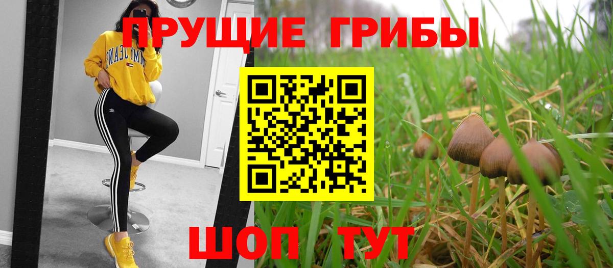 Кингисепп  Псилоцибиновые грибы ЛСД  Вход с VPN  Псилоцибиновые грибы MAGIC MUSHROOMS 